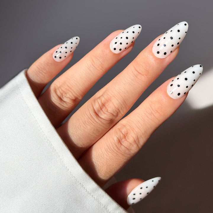 Poppy Seed