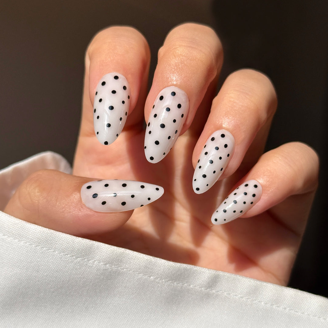 Poppy Seed