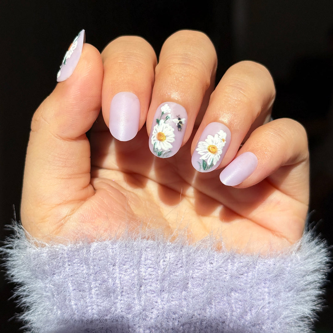 Lavender Bloom
