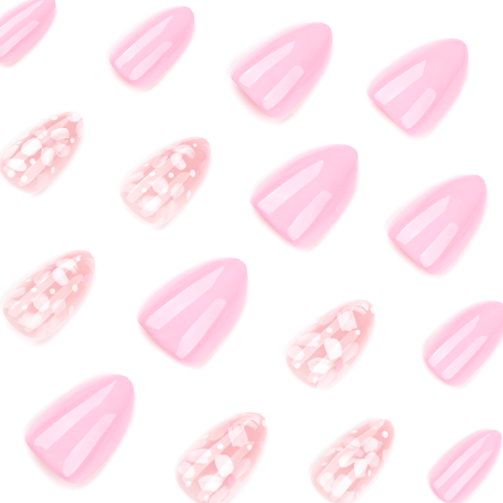 Soft Pink Petals