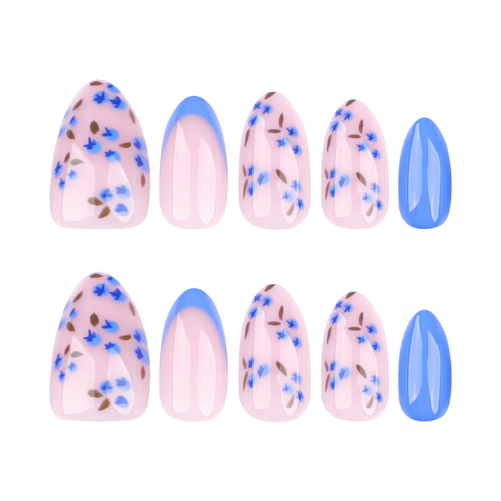 Blueberry Frenchie
