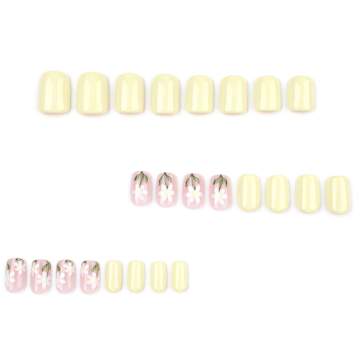 Pastel Daisy