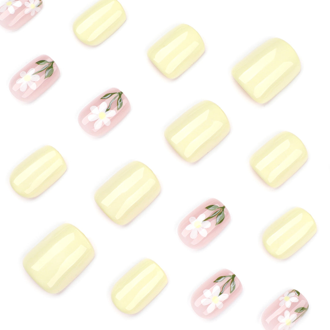 Pastel Daisy