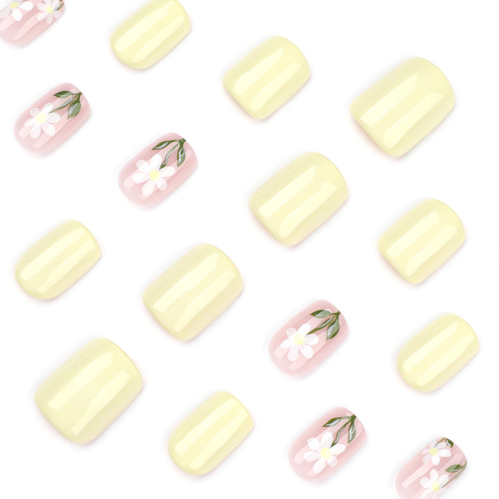 Pastel Daisy