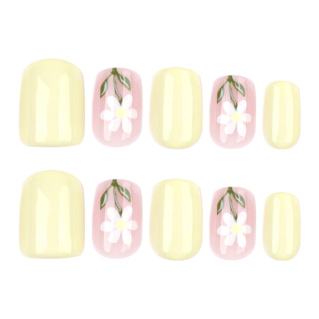 Pastel Daisy