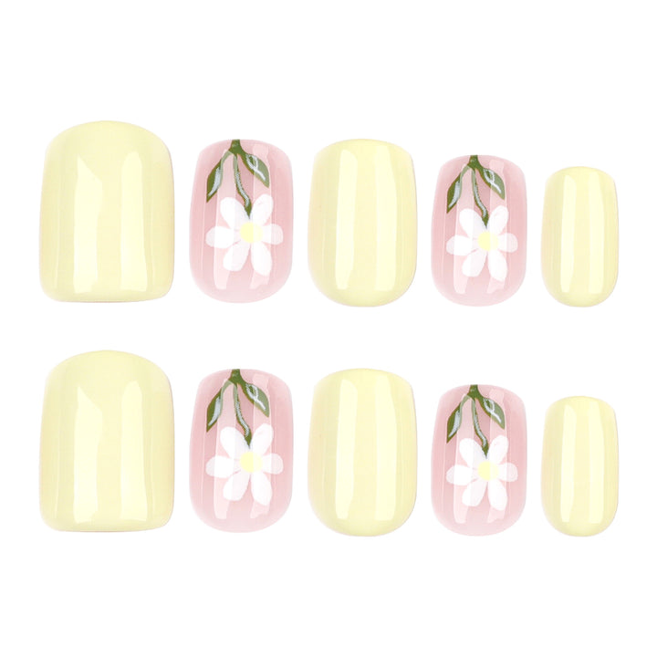 Pastel Daisy