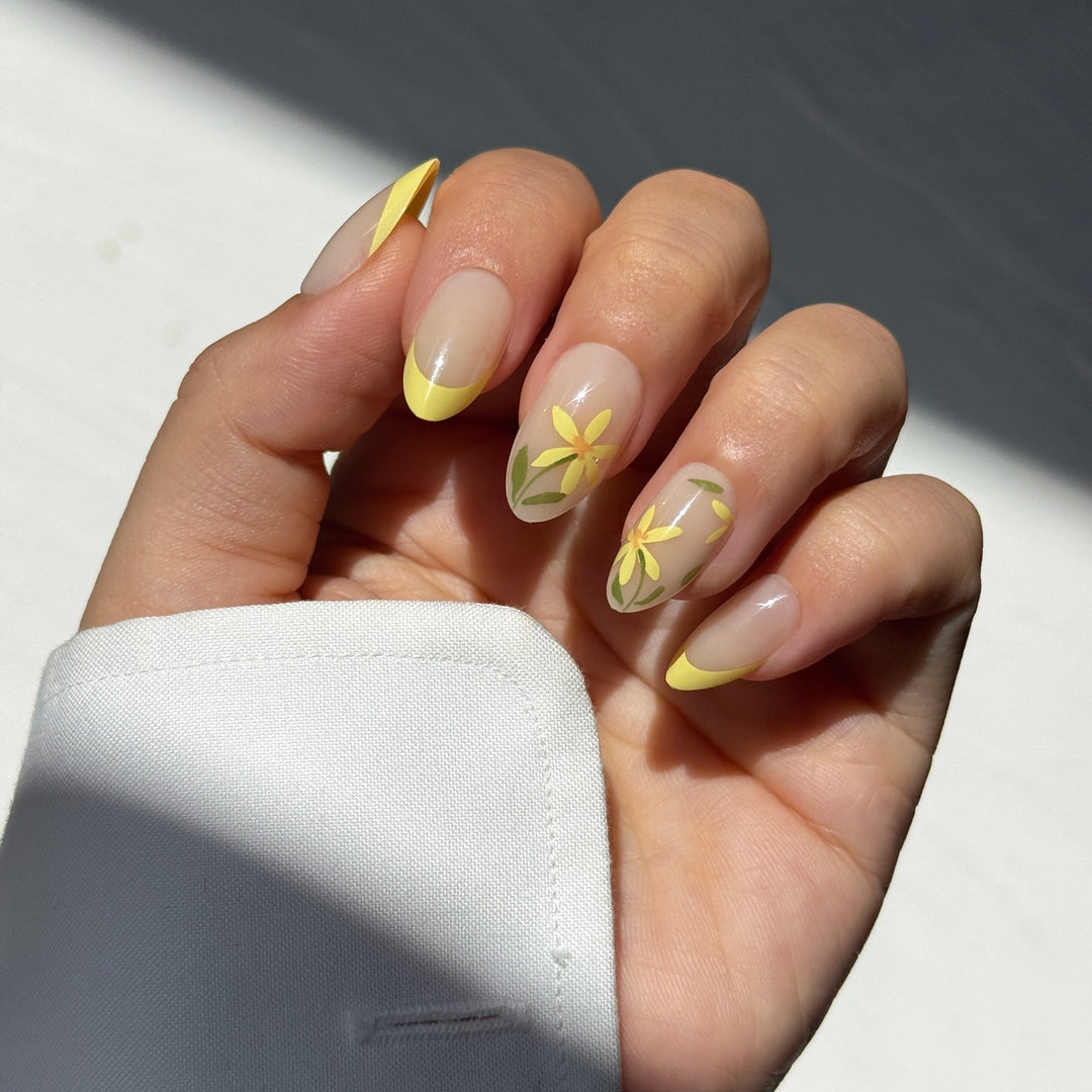 Sunlit Daisy