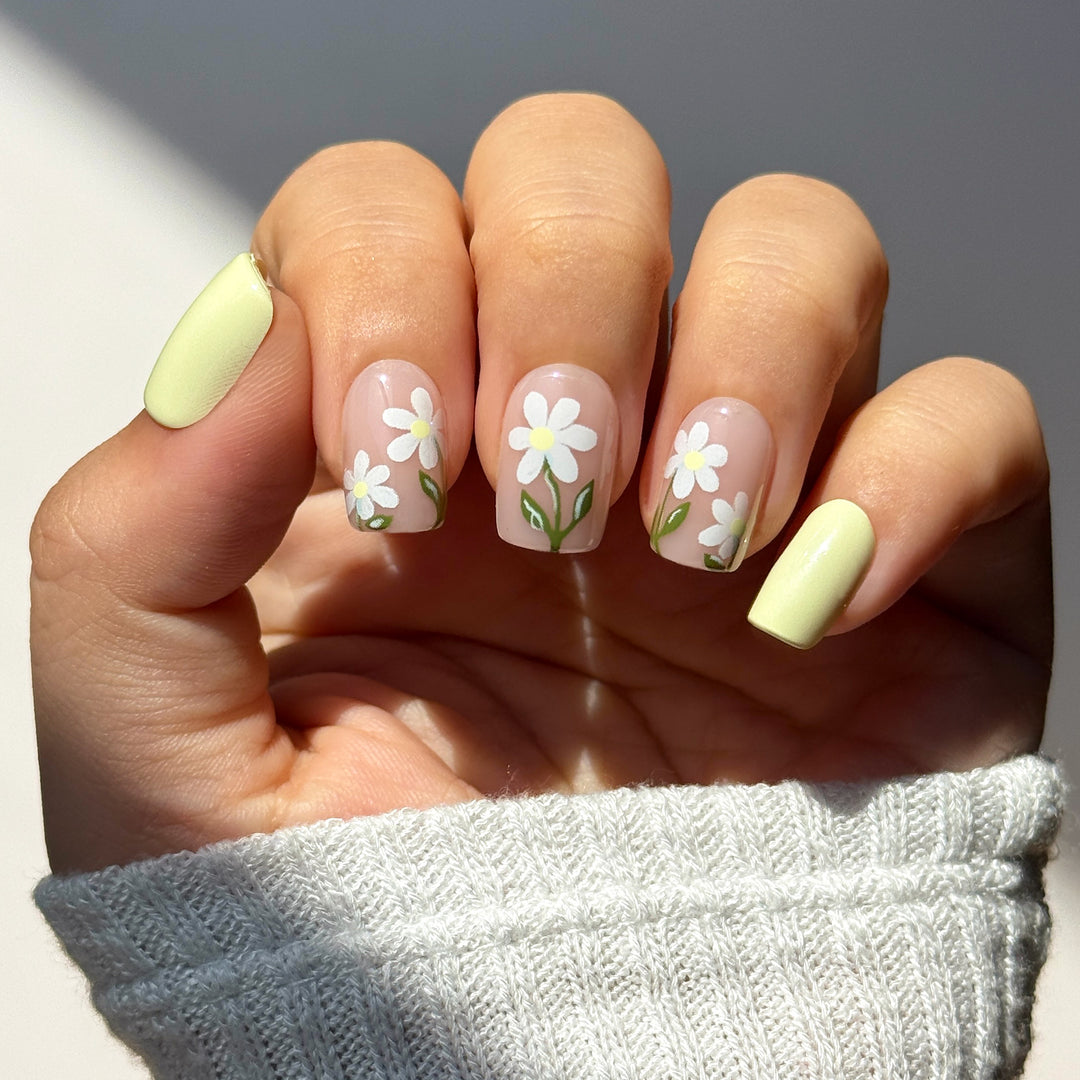 Pastel Daisy