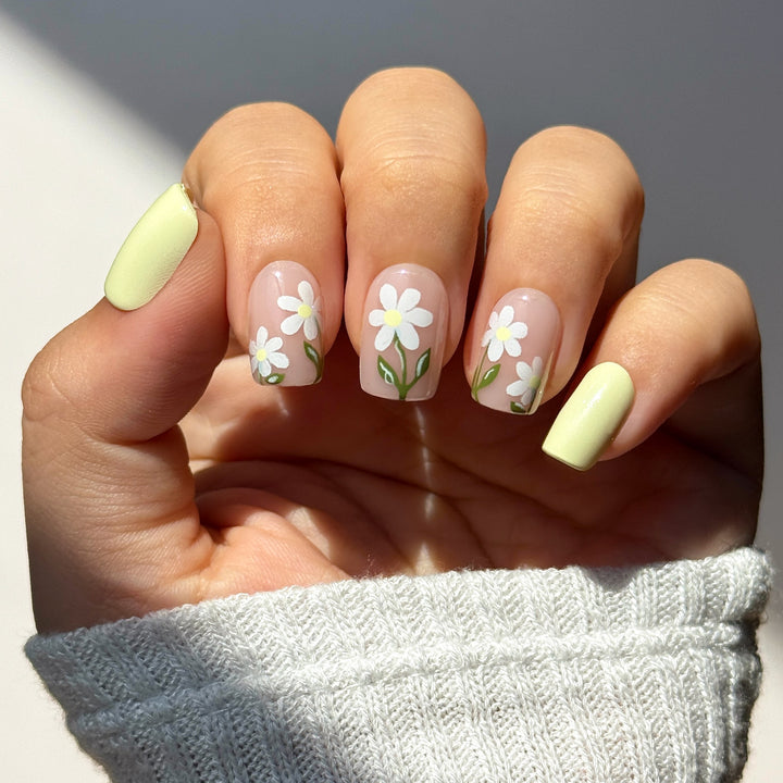 Pastel Daisy