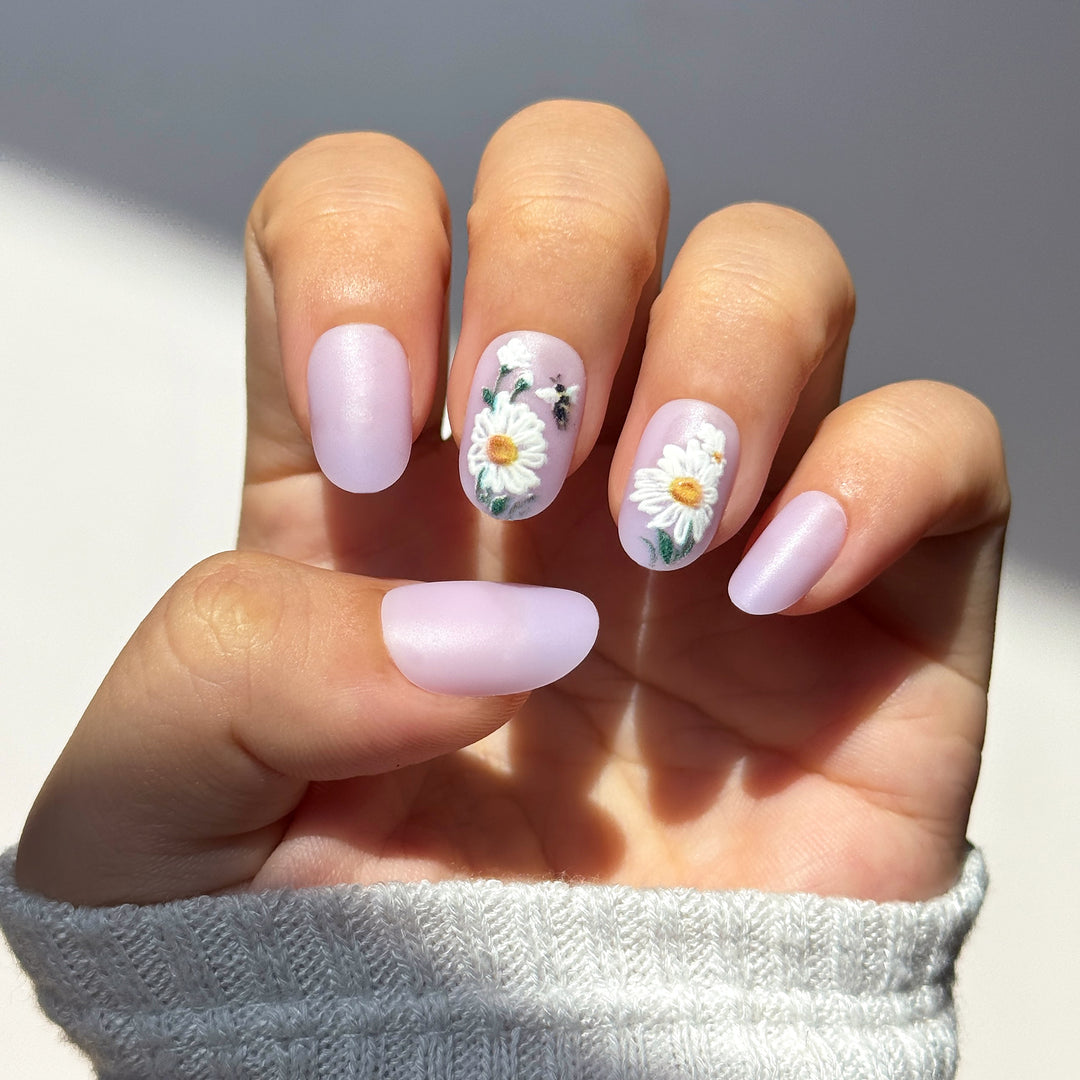 Lavender Bloom