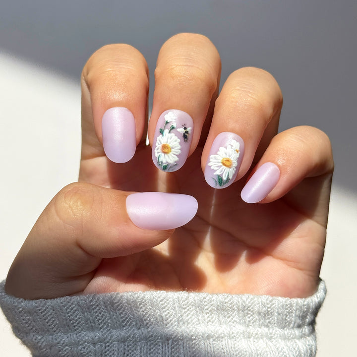 Lavender Bloom