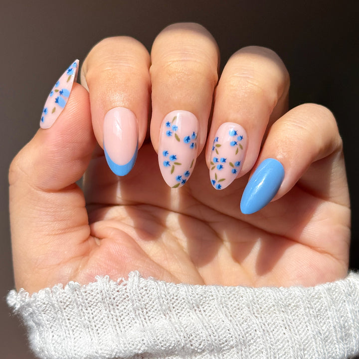 Blueberry Frenchie