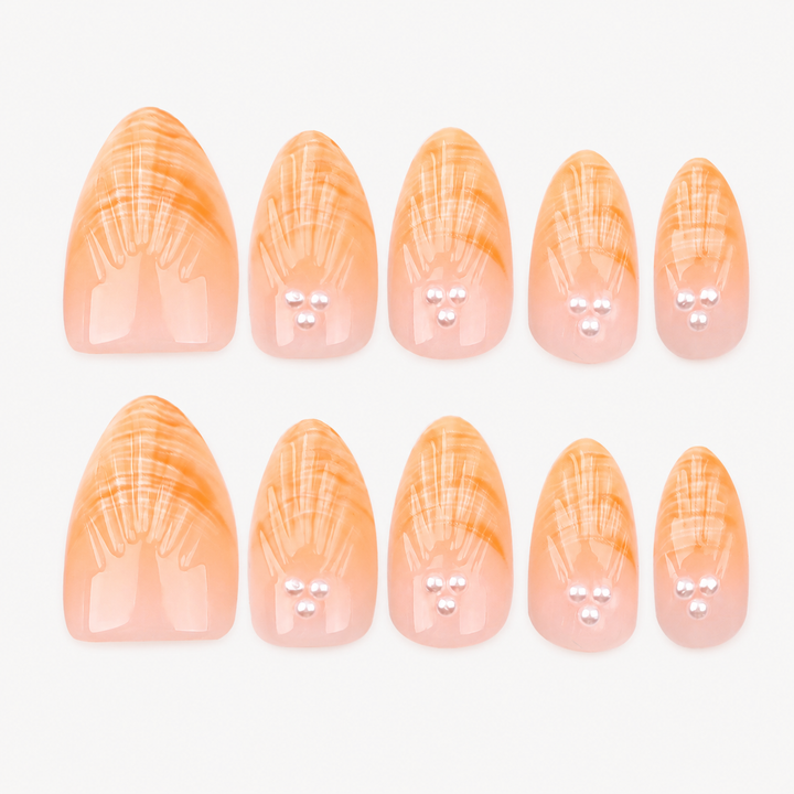 Sunlit Shell