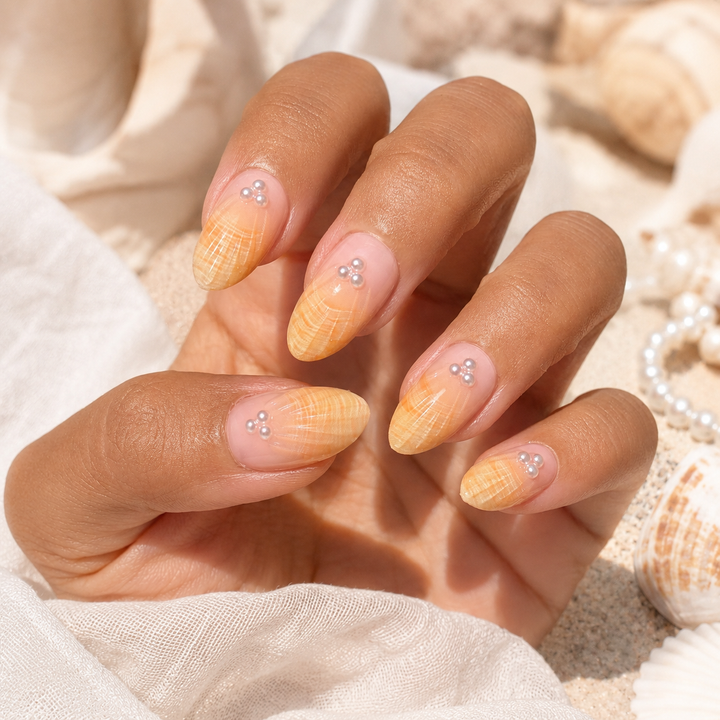 Sunlit Shell